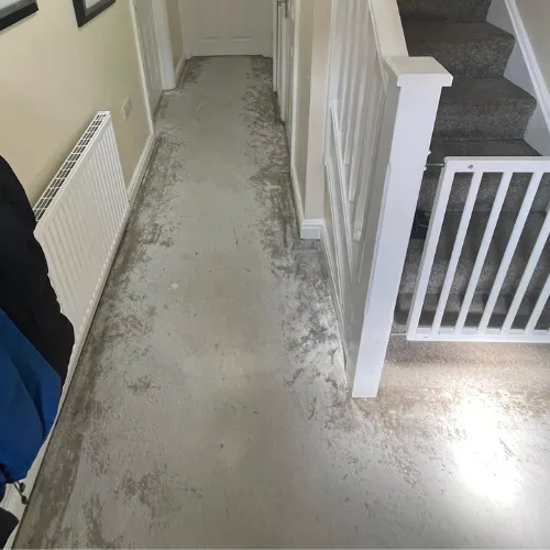 Carpet & Flooring project by Cambridgeshire Carpets Ltd in Peterborough